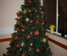 img_9495-copia
