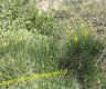 img_8258-copia