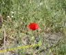 img_8259-copia