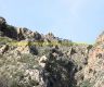 img_6783-copia