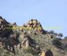 img_6789-copia