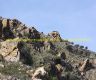 img_6790-copia